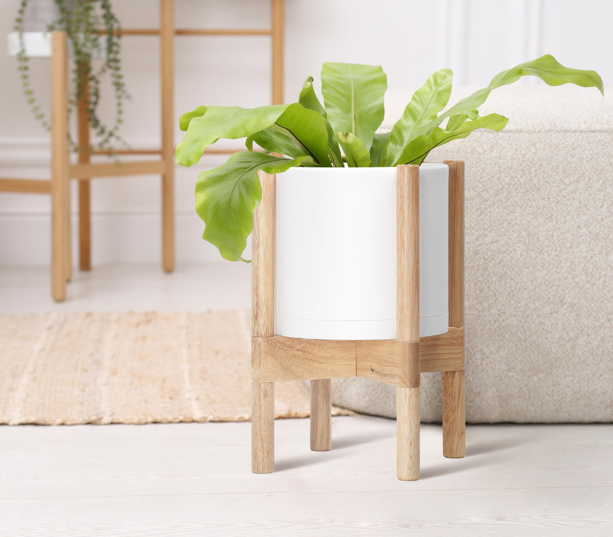 D'vine Dev complete set for cohesive home decor.