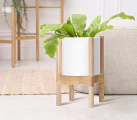 D'vine Dev complete set for cohesive home decor.