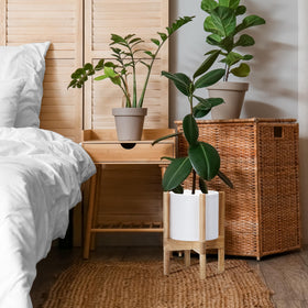Cylinder planter from D'vine Dev suits real or faux plants.