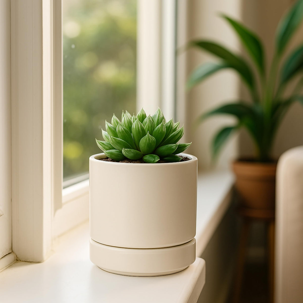 D'vine Dev cylindrical 4.7-inch planter for stylish indoor décor