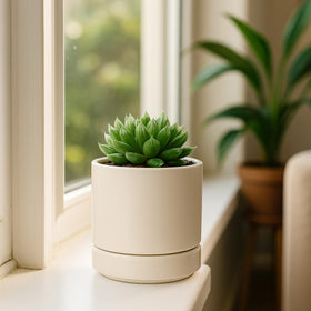 D'vine Dev cylindrical 4.7-inch planter for stylish indoor décor