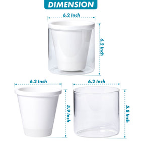 D'vine Dev handcrafted terracotta pot adds artisanal charm while maintaining moisture.