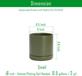 D'vine Dev indoor cylinder olive planter, ideal for shelves or desks.