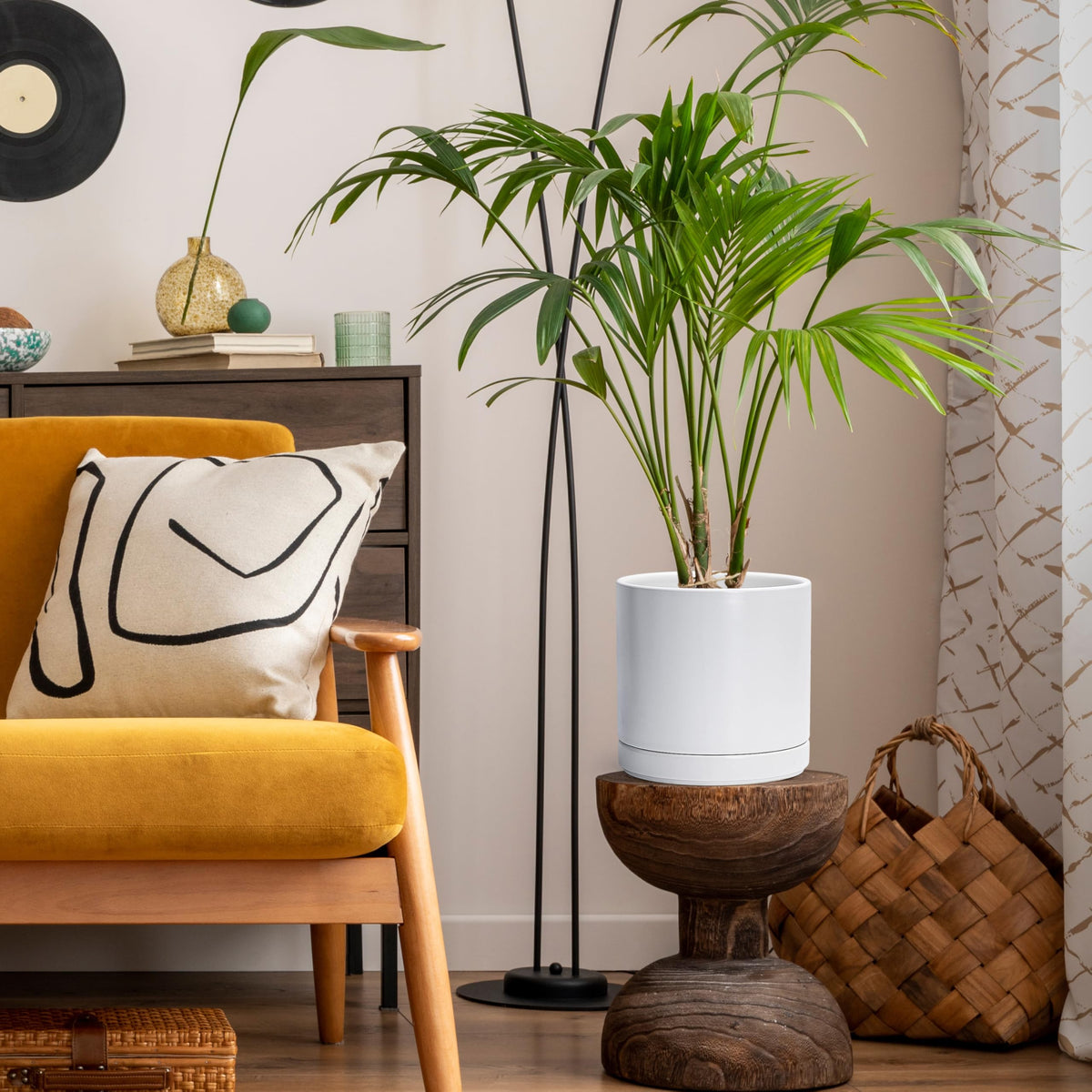 D'vine Dev white cylinder planter on a desk with a small plant