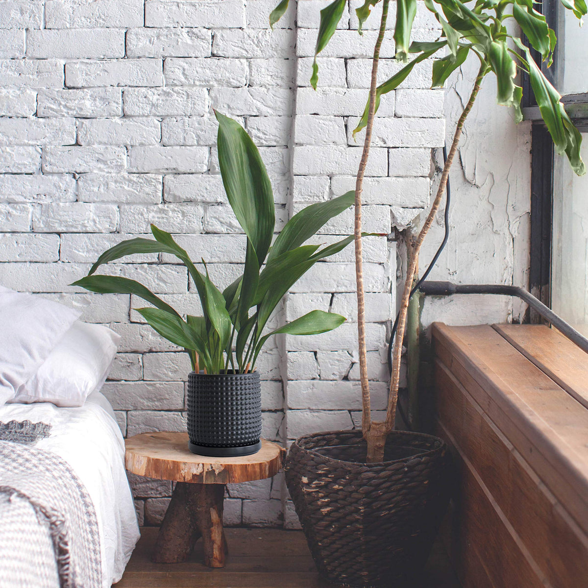 D'vine Dev ebony matte finish adds premium style to any room.