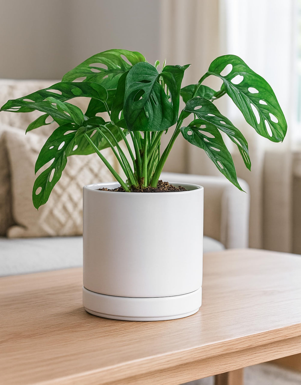 D'vine Dev tabletop pads guard furniture while showcasing greenery.