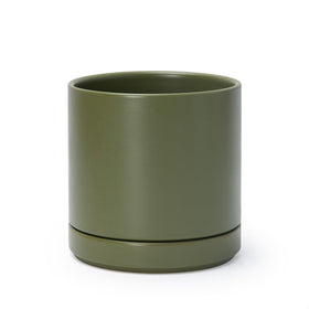 D'vine Dev olive ceramic planter, 6.5-inch diameter, a sleek indoor accent for compact spaces.