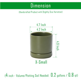 D'vine Dev olive planter with saucer for tidy indoor plant setups.