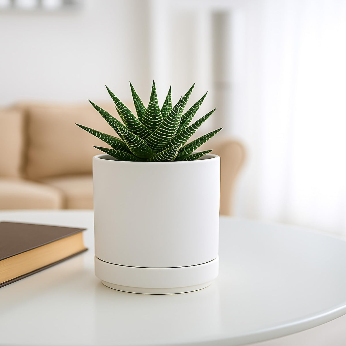 D'vine Dev two-pot set ships neatly in a white finish for gifting.