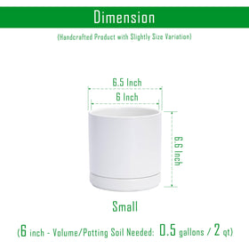D'vine Dev ceramic pot with drainage hole and saucer keeps moisture manageable.
