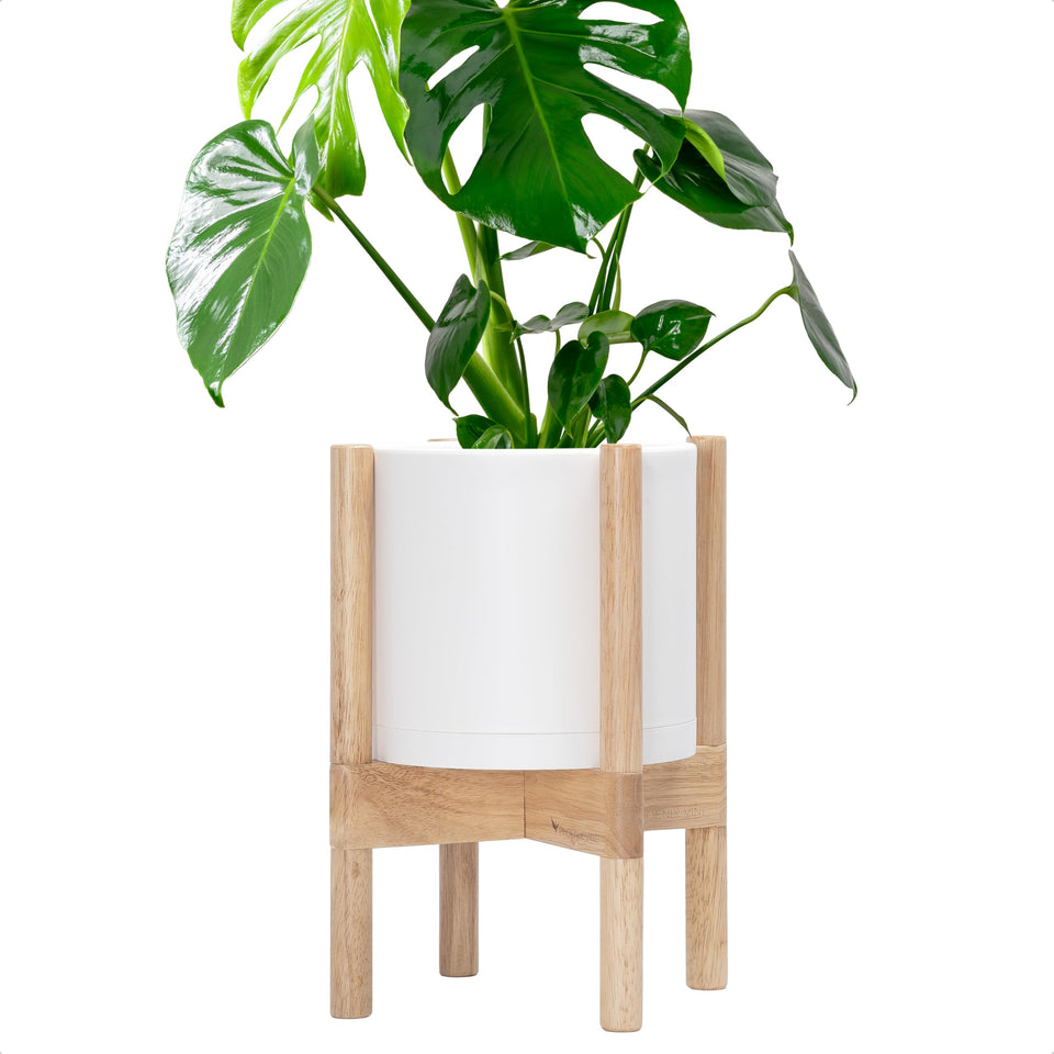 D'vine Dev 8-inch planter pot with wood stand for indoor greens.