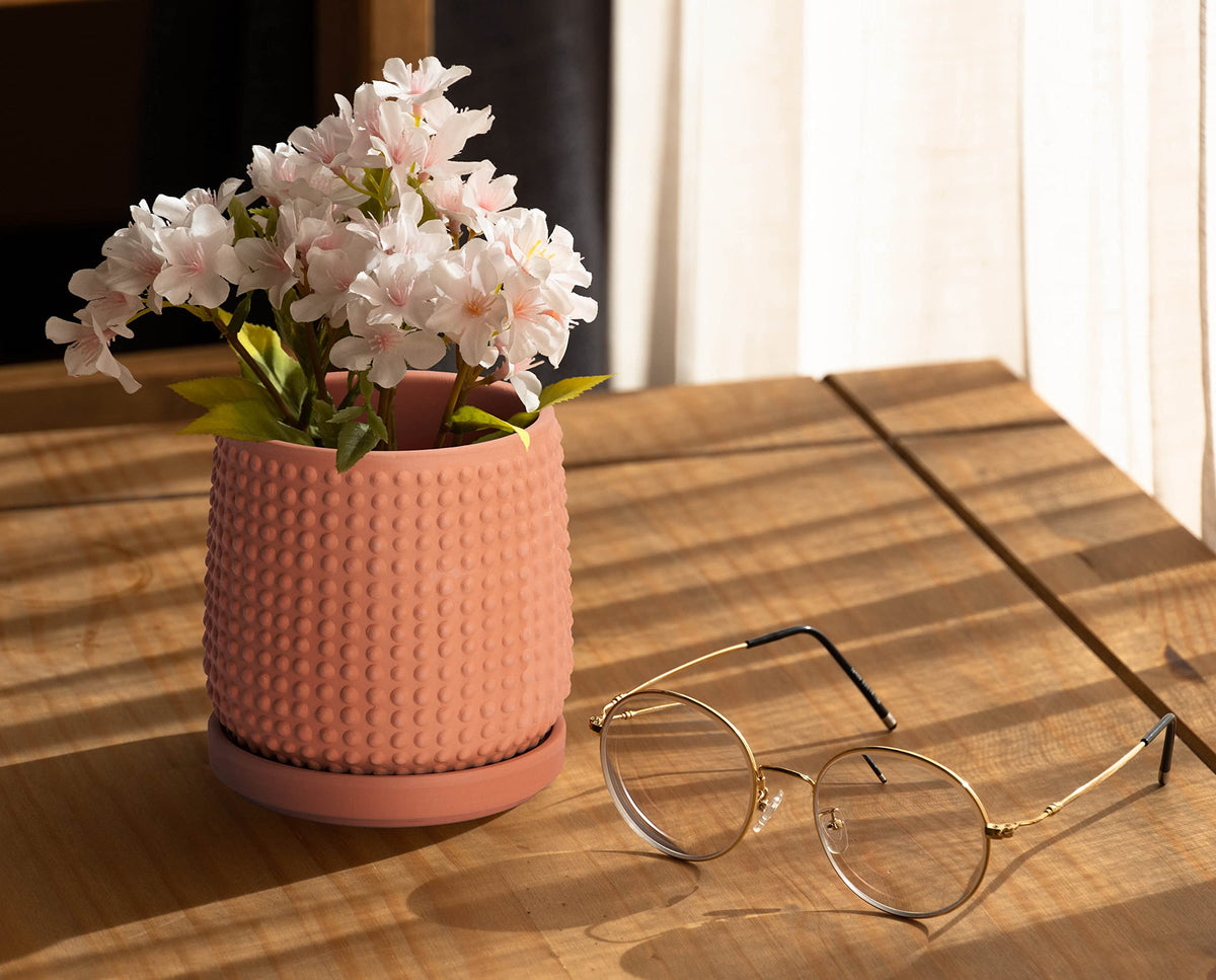 D'vine Dev beaded planter in succulent setup demonstrates versatile indoor styling.
