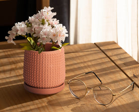 D'vine Dev beaded planter in succulent setup demonstrates versatile indoor styling.