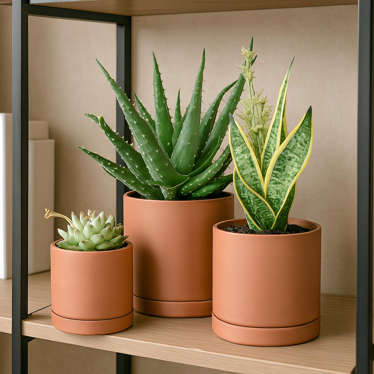 D'vine Dev textured matte pot showcases natural warmth in any room.