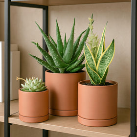 D'vine Dev textured matte pot showcases natural warmth in any room.