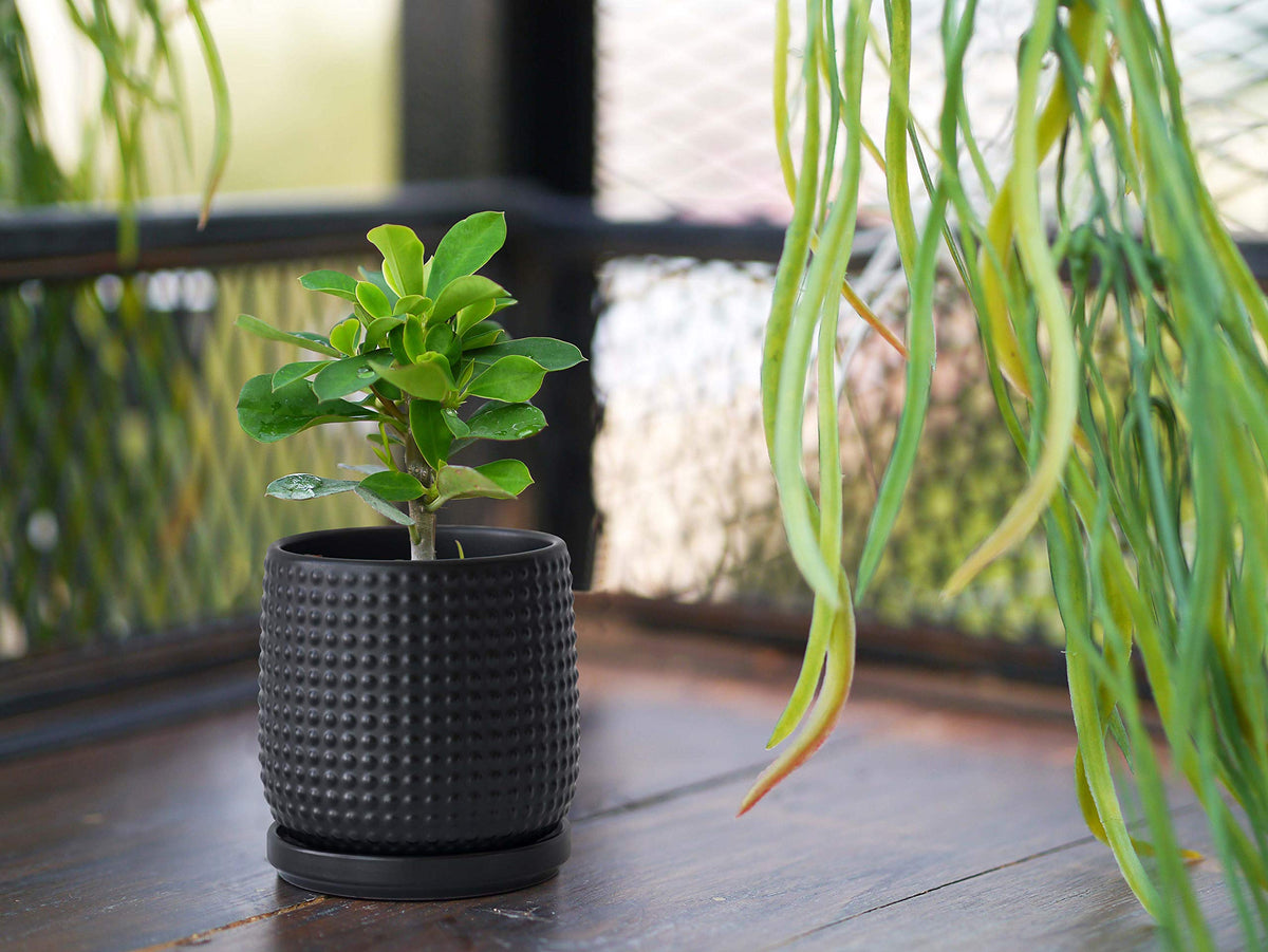 D'vine Dev protective pad keeps wood surfaces scratch-free