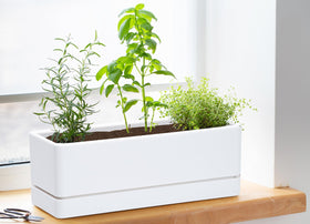 D'vine Dev rectangle plant pot shows drainage holes for healthier watering.