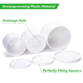 D'vine Dev seamless saucer for a clean, modern display.