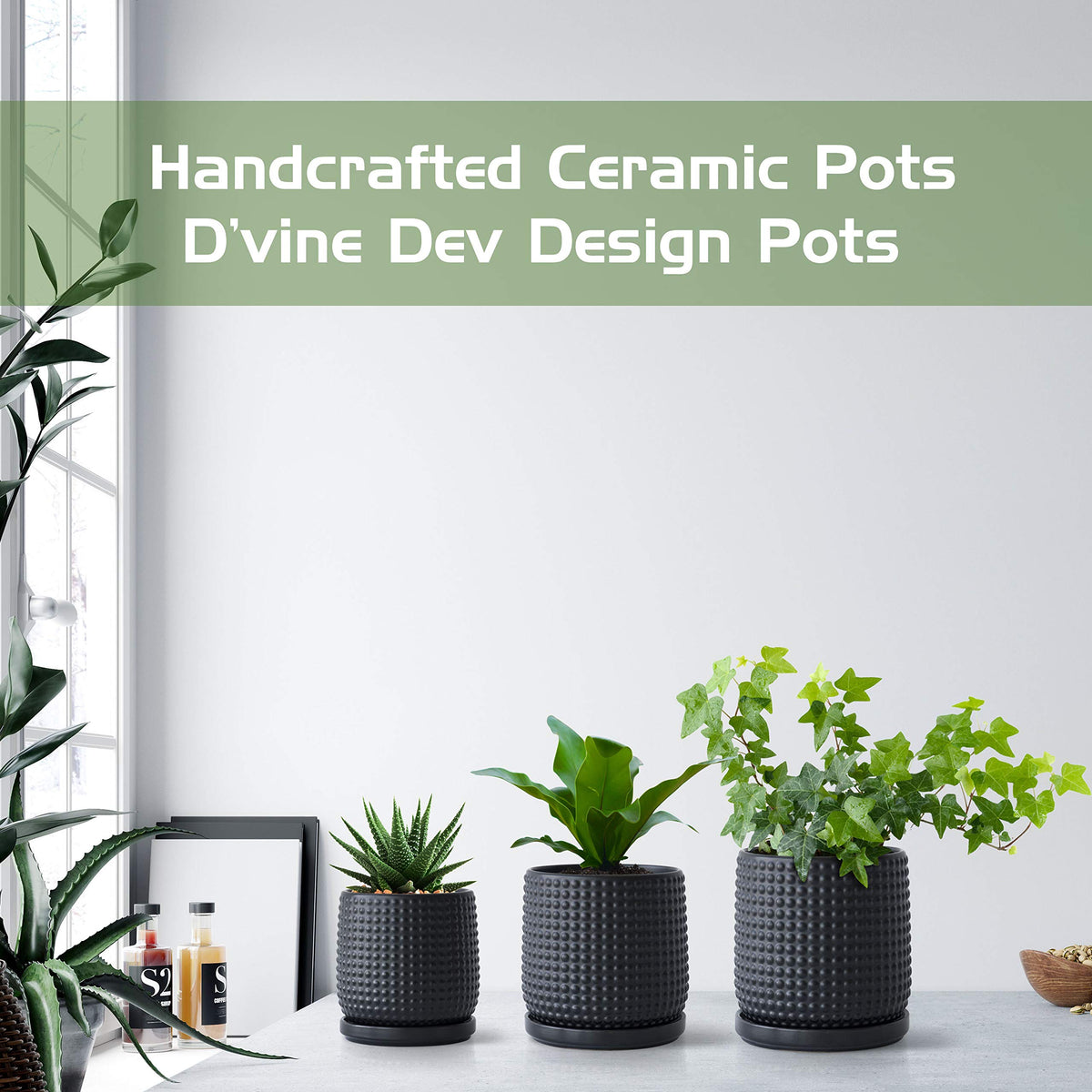 D'vine Dev 6inch pot fits windowsills and desks for easy display.