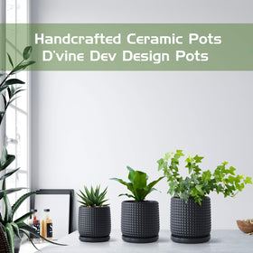 D'vine Dev 6inch pot fits windowsills and desks for easy display.