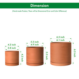 D'vine Dev succulent pot with drainage holes for healthy root growth.
