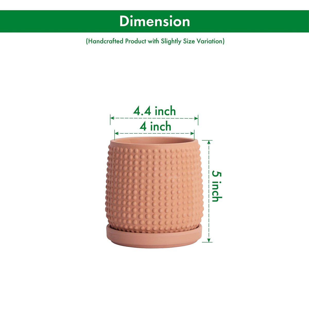 D'vine Dev planter with drainage holes and saucer provides easy watering control.