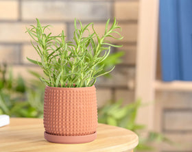 D'vine Dev terracotta beaded planter, side angle, showcases handcrafted texture and decorative charm.
