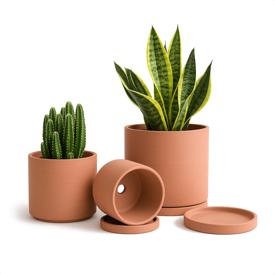 D'vine Dev terracotta pot 4.2-inch with drainage for thriving succulents.