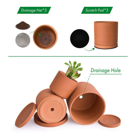 D'vine Dev terracotta pot 6.5-inch for larger succulents and decorative arrangements.
