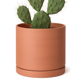 D'vine Dev terracotta pot 8-inch round with natural matte finish for indoor plants.