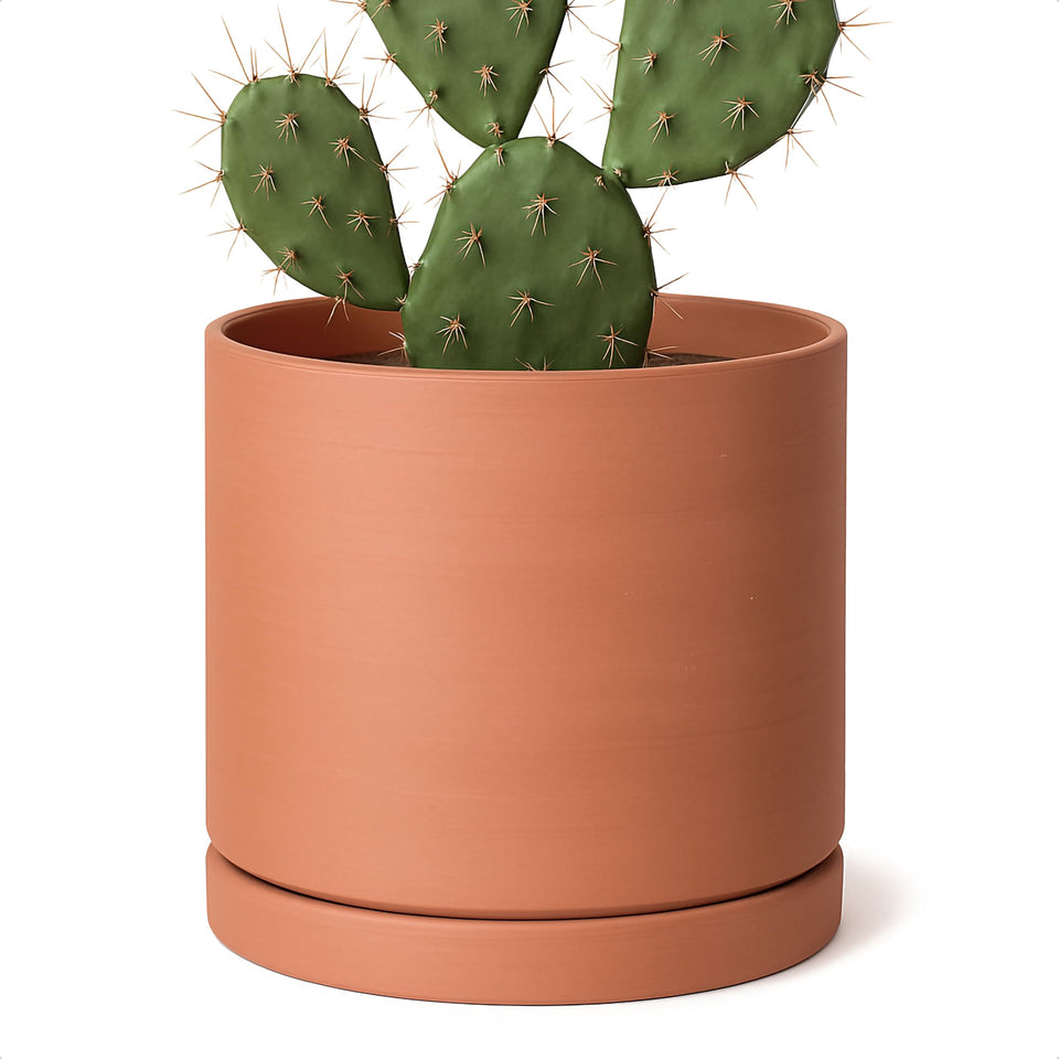 D'vine Dev terracotta pot 8-inch round with natural matte finish for indoor plants.