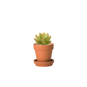 D'vine Dev 3 inch terracotta close-up showing smooth matte finish