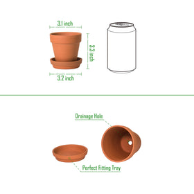 D'vine Dev terracotta pot drainage hole ready for root aeration