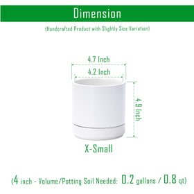 D'vine Dev ceramic pot with saucer demonstrates secure placement and neat drainage.