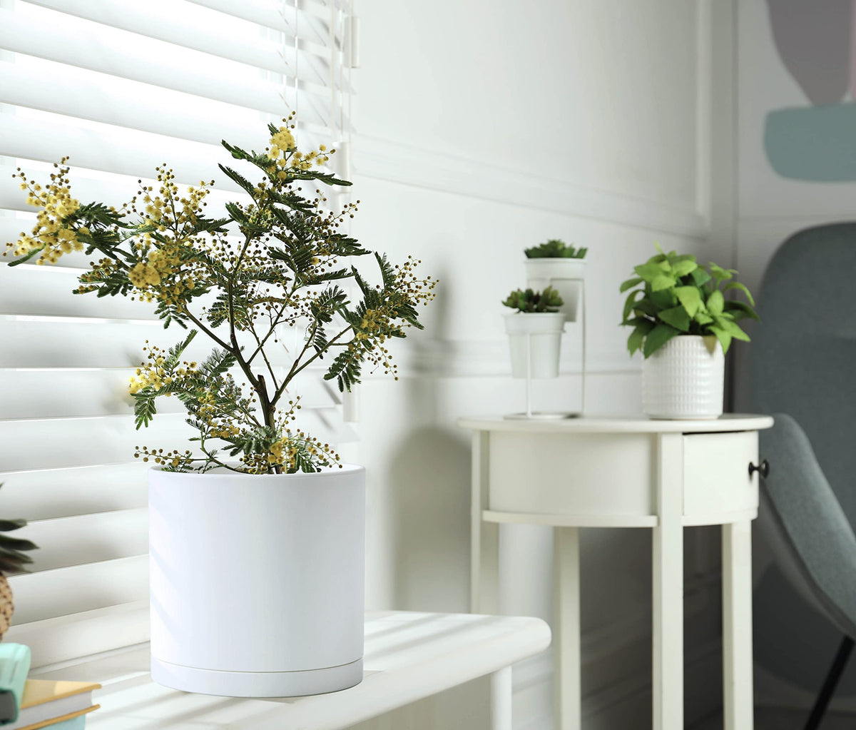 D'vine Dev white set of three planters for versatile desktop arrangements.