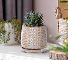 D'vine Dev planter side angle with minimalist design fits narrow shelves