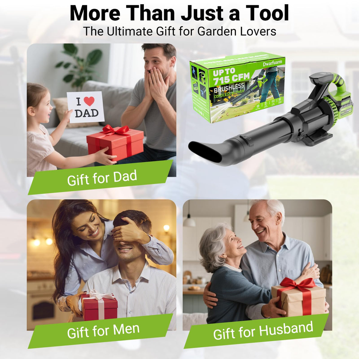 Dwarfuarm cordless leaf blower car detailing made easier with adjustable power