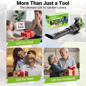 Dwarfuarm cordless leaf blower car detailing made easier with adjustable power