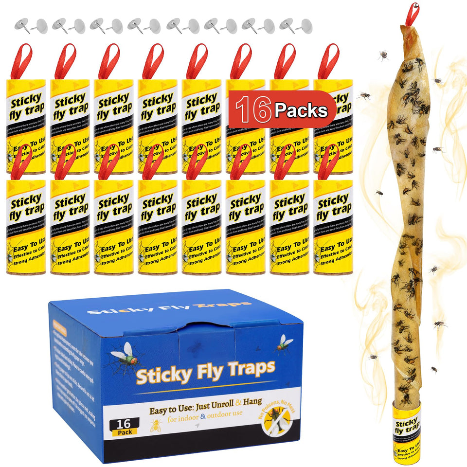 Dwcom Trap 16-pack fruit fly traps for quick indoor pest control