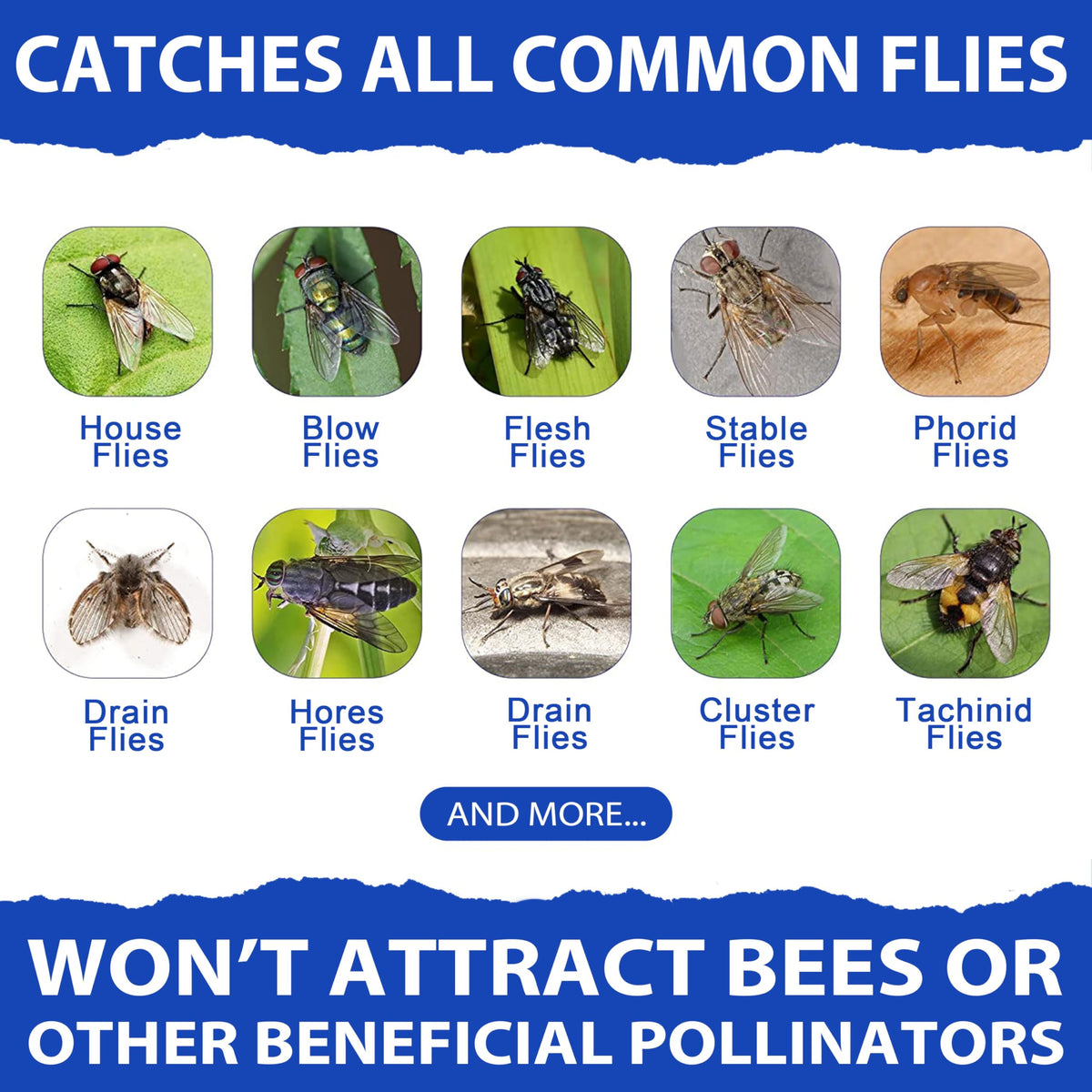 Dwcom Trap family-friendly outdoor solution to reduce flies.