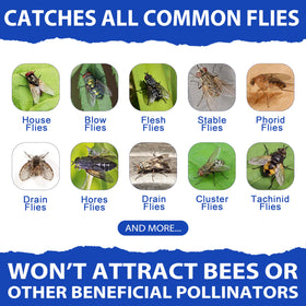 Dwcom Trap family-friendly outdoor solution to reduce flies.