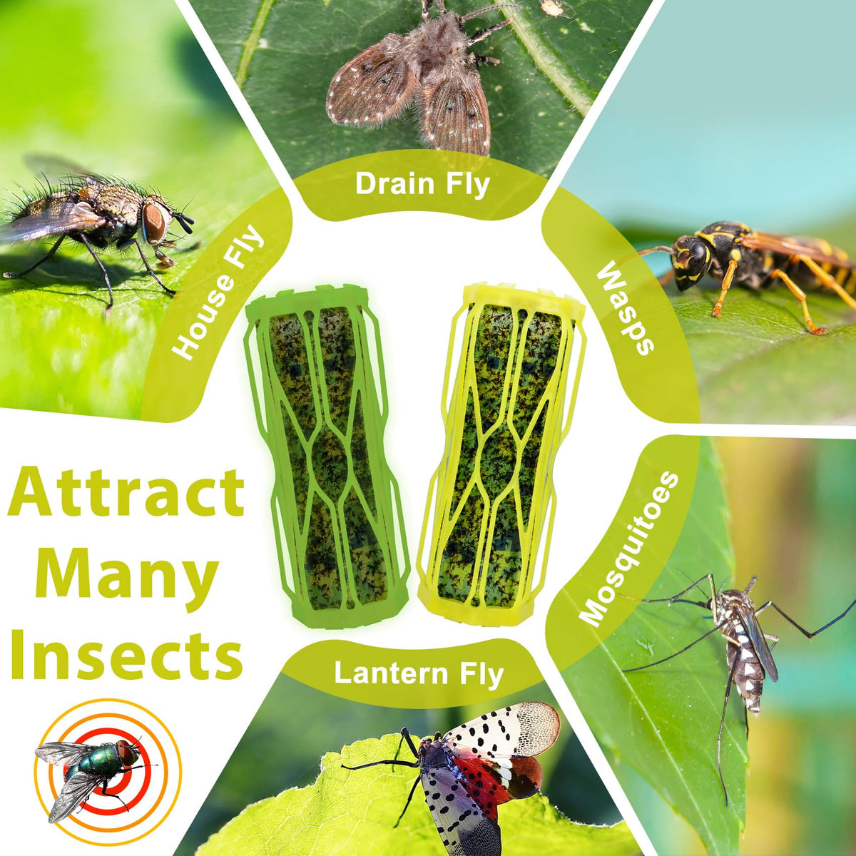 Dwcom Trap garden porch setup captures flies gnats and mosquitoes effectively