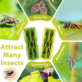 Dwcom Trap garden porch setup captures flies gnats and mosquitoes effectively