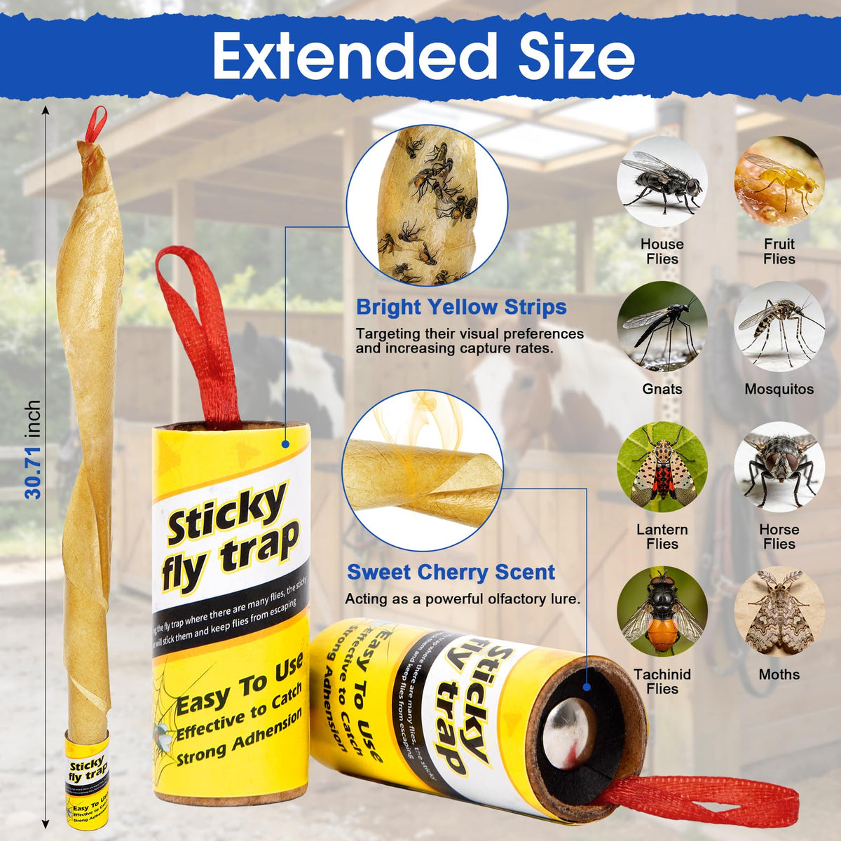 Dwcom Trap hanging fly traps setup shows easy placement and instant action