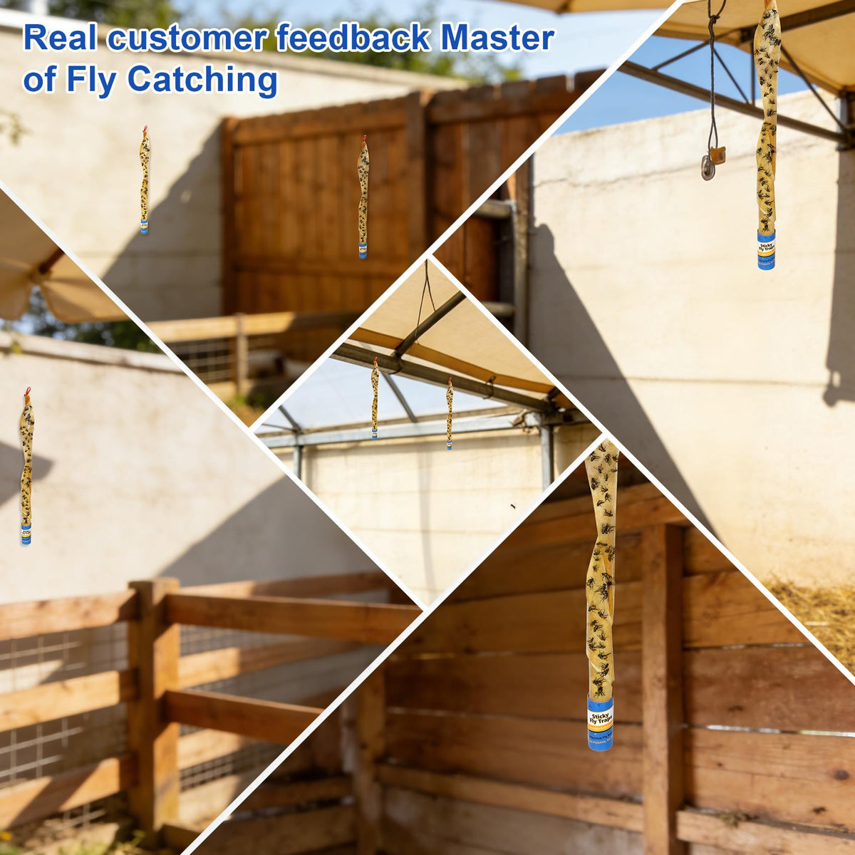 Dwcom Trap long-lasting sticky surface promises weeks of pest control.