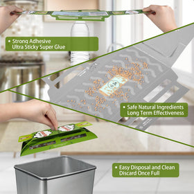 Dwcom Trap placed in a kitchen corner for discreet placement
