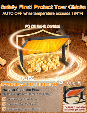 DXHAOSTET chicken brooder heat plate height-adjustment supports growth-friendly positioning.