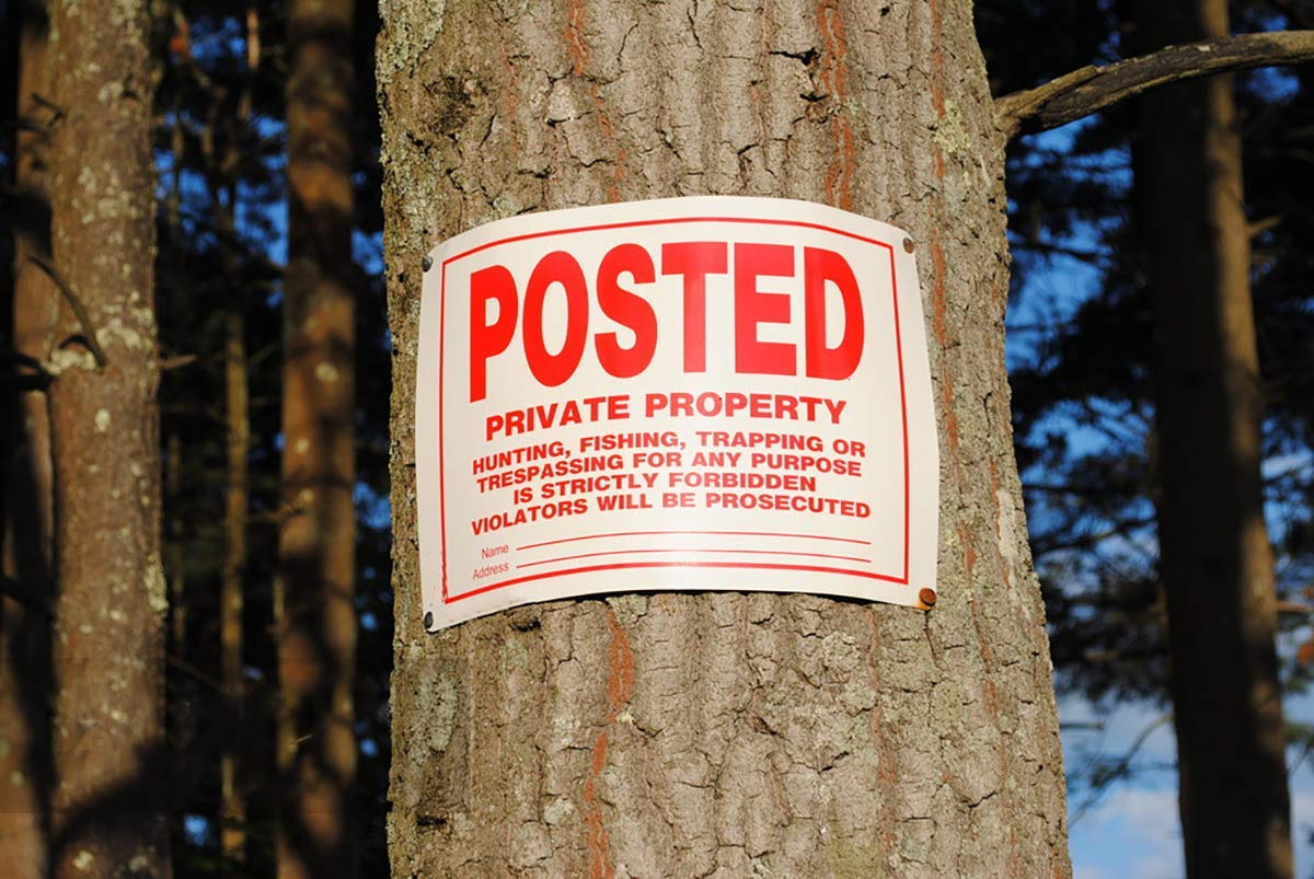 Dxyizus Signs 4-pack ready for multiple outdoor placements along property lines.