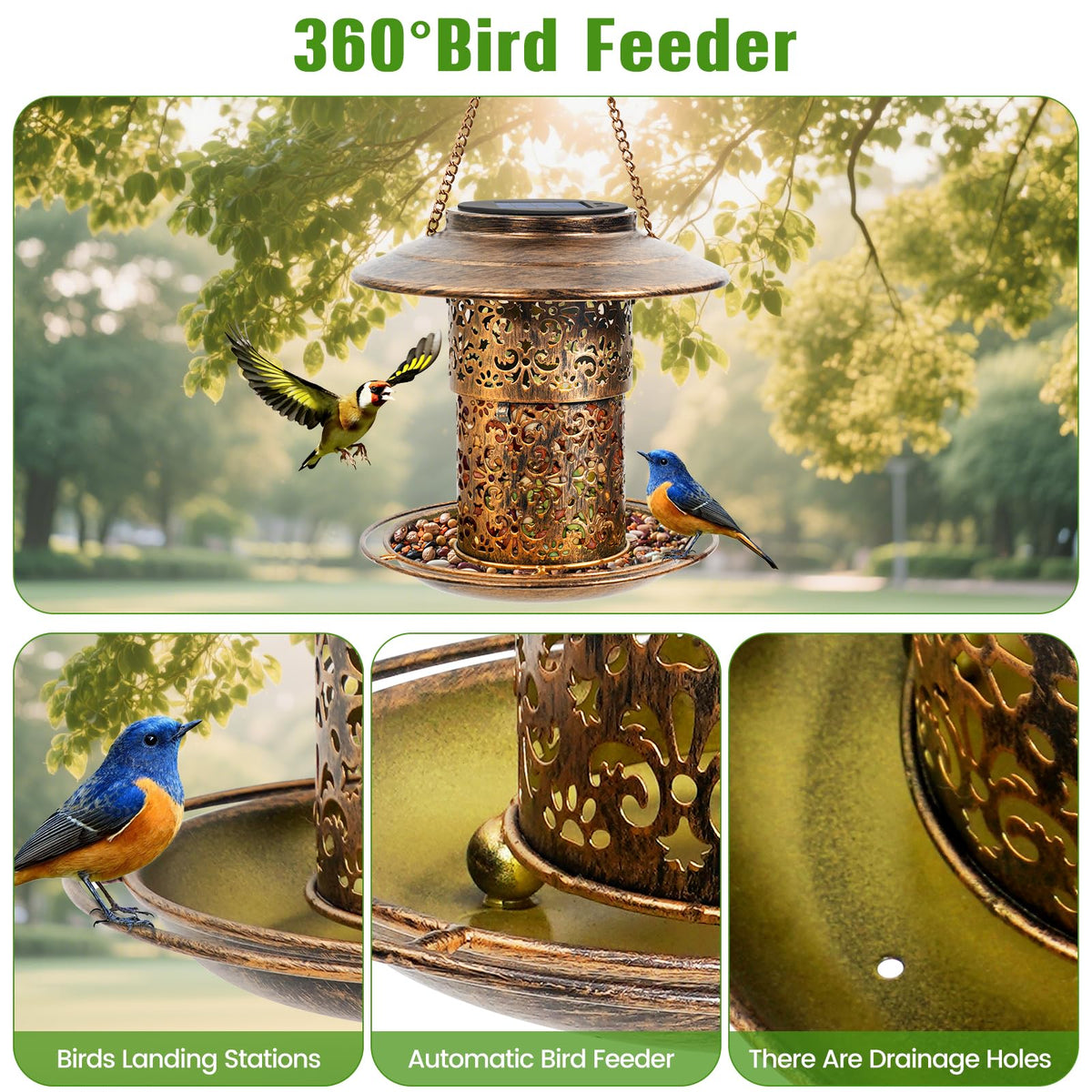 DY-SKTY 360-degree feeding platform invites birds from all angles.