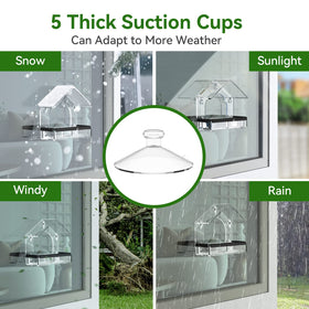 DY-SKTY five suction cups securely attach to windows during active bird feeding